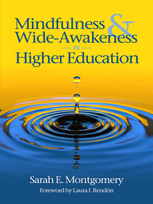 cover image of Mindfulness & Wide-Awakeness in Higher Education